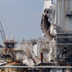 Illustration for article titled Oil Refinery Explodes in California; Blade Runner Flashbacks Ensue